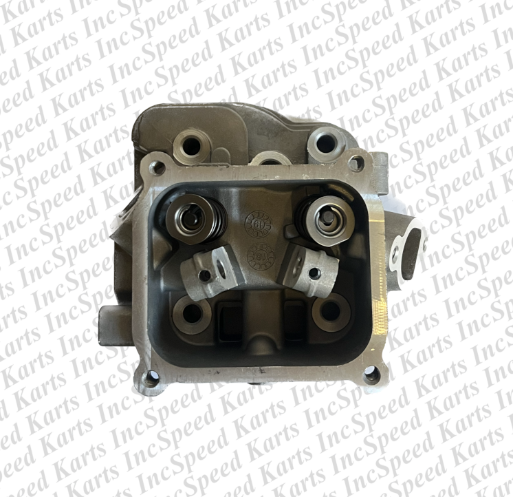 212cc Predator (Hemi) Cylinder Head - COMPLETE ASSEMBLY