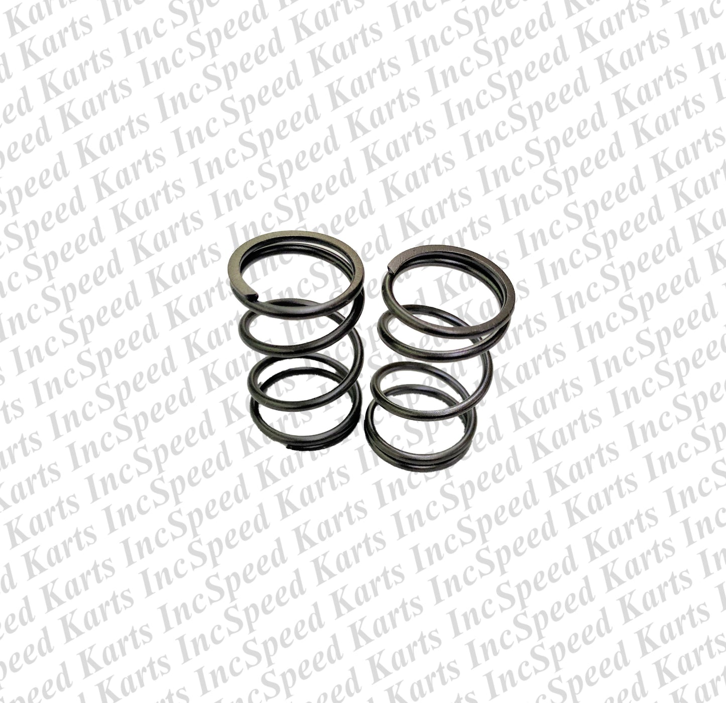 Speed Karts "Speedy King" Valve Springs (PAIR)