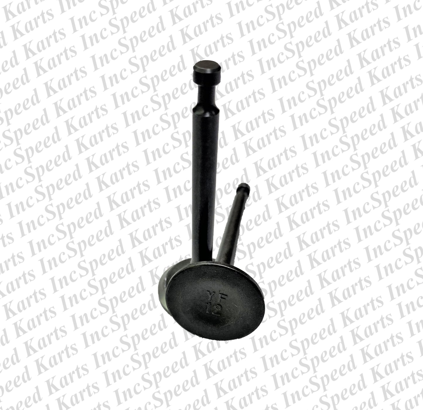 Exhaust Valve - YF12