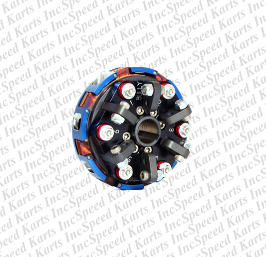 Bully 2-disc 6-spring Clutch Assembly