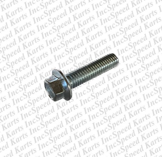 Bolt Ignition Coil M6 x 25 (10.9 Grade)