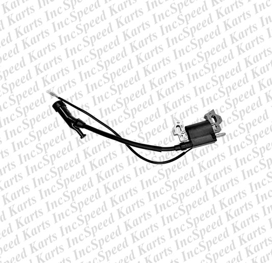 Ignition Coil Assembly
