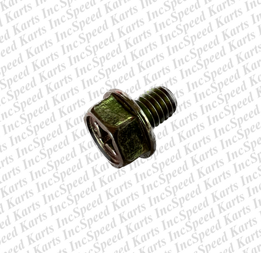 Bolt Float Bowl Drain M6 x 8